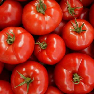 Tomato